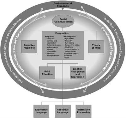 Early Attachment and the Development of Social Communication: A Neuropsychological Approach